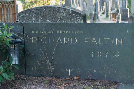 Richard Faltin (Helsingfors, Sandudds gamla begravningsplats 20–16)