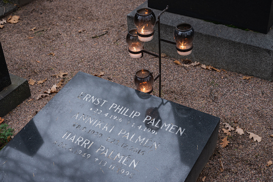 Ernst Palmén (Helsingfors, Sandudds gamla begravningsplats 3–9–1)