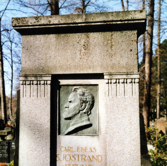 Carl Eneas Sjöstrand (Helsingfors, Sandudds gamla begravningsplats 3–17–)